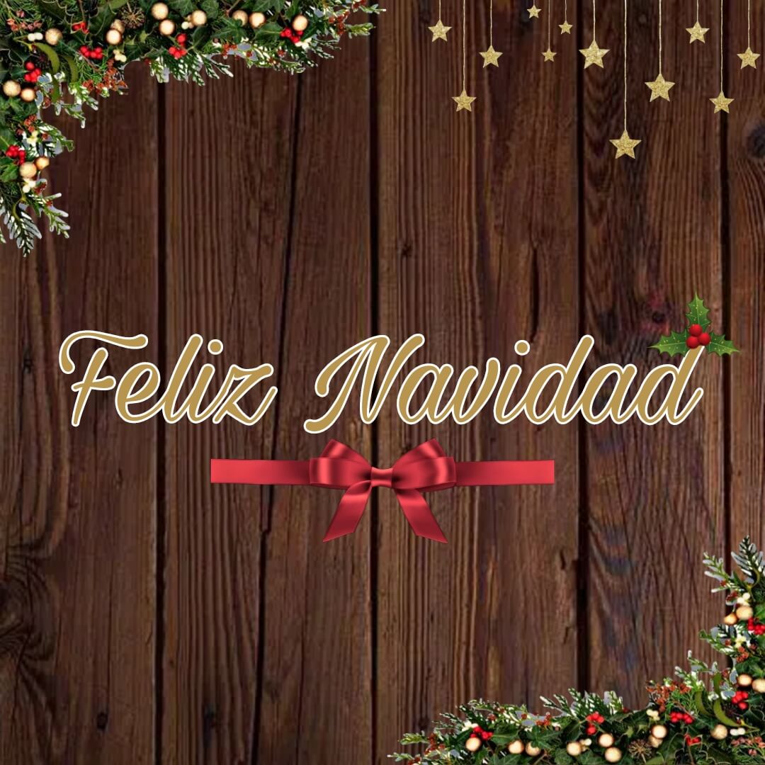 Artículos Navideños